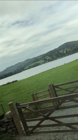 image1 (1).jpeg